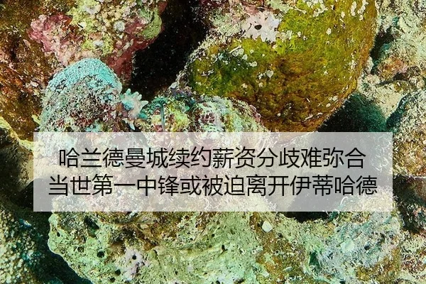 哈兰德曼城续约薪资分歧难弥合 当世第一中锋或被迫离开伊蒂哈德